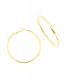 Oorringen goudkleurig met helder strass steentjes